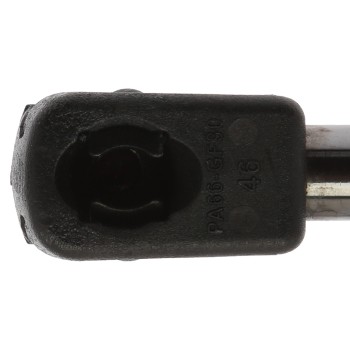 Liftgate Lift Support