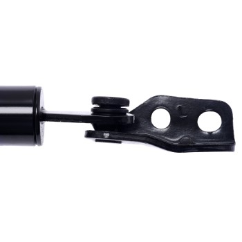 Tailgate Lift Support