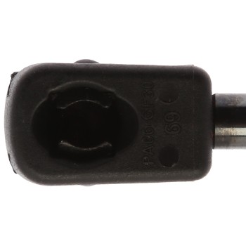 Liftgate Lift Support