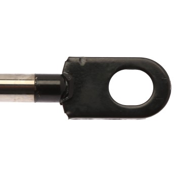 Liftgate Lift Support