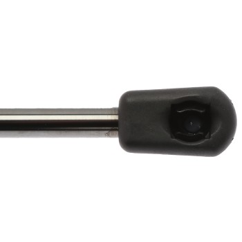 Liftgate Lift Support