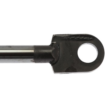 Liftgate Lift Support