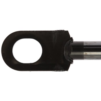 Liftgate Lift Support