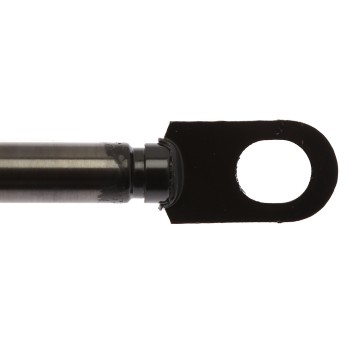 Liftgate Lift Support