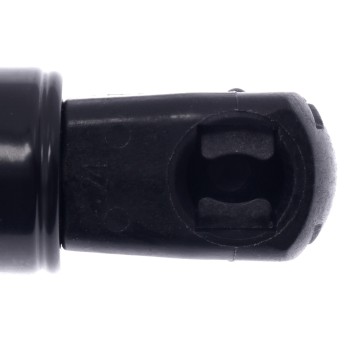 Tailgate Lift Support