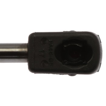 Liftgate Lift Support