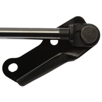 Liftgate Lift Support