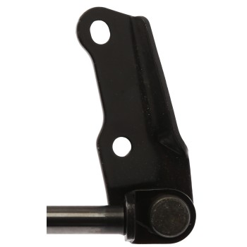 Liftgate Lift Support