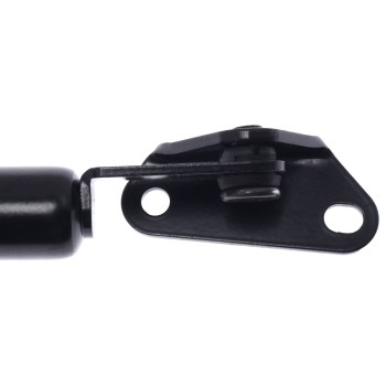 Tailgate Lift Support