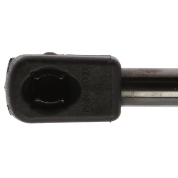 Liftgate Lift Support