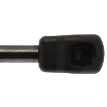 Tailgate Lift Support