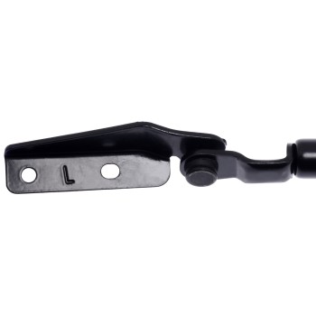 Tailgate Lift Support