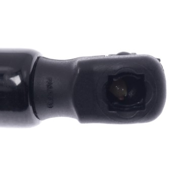 Tailgate Lift Support