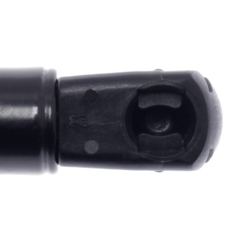 Liftgate Lift Support