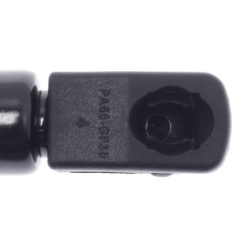 Back Glass Lift Support