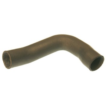 Radiator Coolant Hose