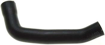 Radiator Coolant Hose