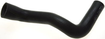 Radiator Coolant Hose
