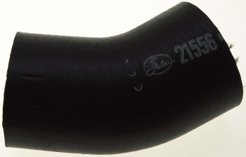 Radiator Coolant Hose