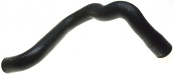Radiator Coolant Hose