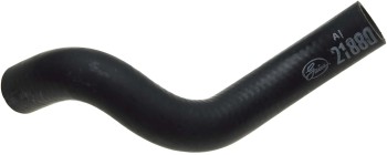 Radiator Coolant Hose