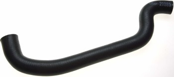 Radiator Coolant Hose