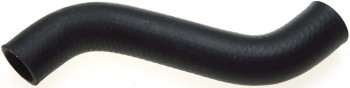 Radiator Coolant Hose