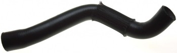 Radiator Coolant Hose