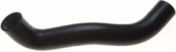 Radiator Coolant Hose