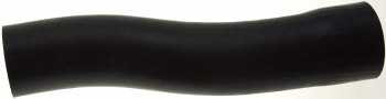 Radiator Coolant Hose