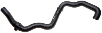 Radiator Coolant Hose