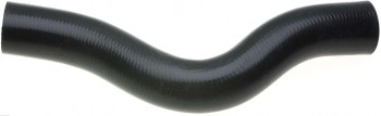 Radiator Coolant Hose
