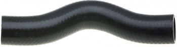 Radiator Coolant Hose