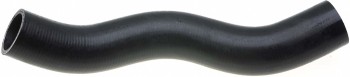 Radiator Coolant Hose