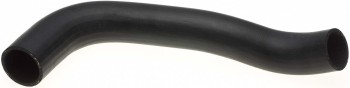 Radiator Coolant Hose