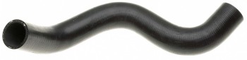 Radiator Coolant Hose