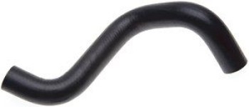Radiator Coolant Hose