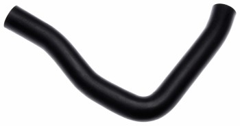 Radiator Coolant Hose