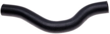 Radiator Coolant Hose