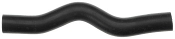 Radiator Coolant Hose