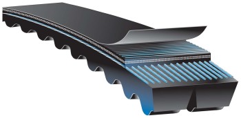 Accessory Drive Belt