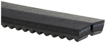 Accessory Drive Belt