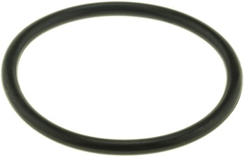 Engine Coolant Thermostat Seal