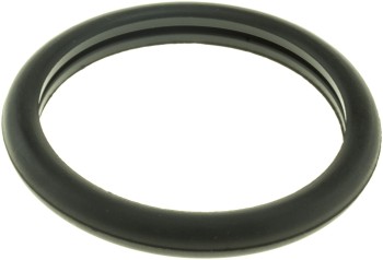 Engine Coolant Thermostat Seal