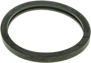 Engine Coolant Thermostat Seal