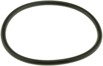Engine Coolant Thermostat Seal
