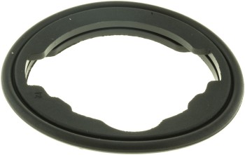 Engine Coolant Thermostat Seal