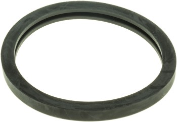 Engine Coolant Thermostat Seal