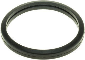 Engine Coolant Thermostat Seal