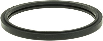 Engine Coolant Thermostat Seal